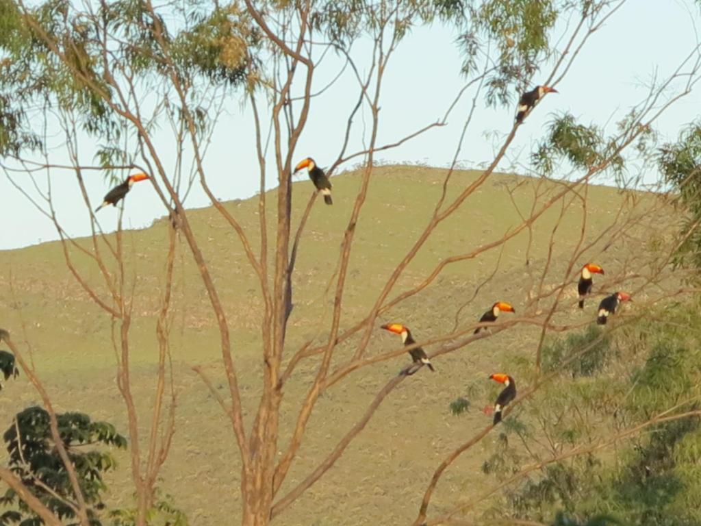 فندق Pousada Recanto Da Grande Paz Alto Paraíso de Goiás المظهر الخارجي الصورة